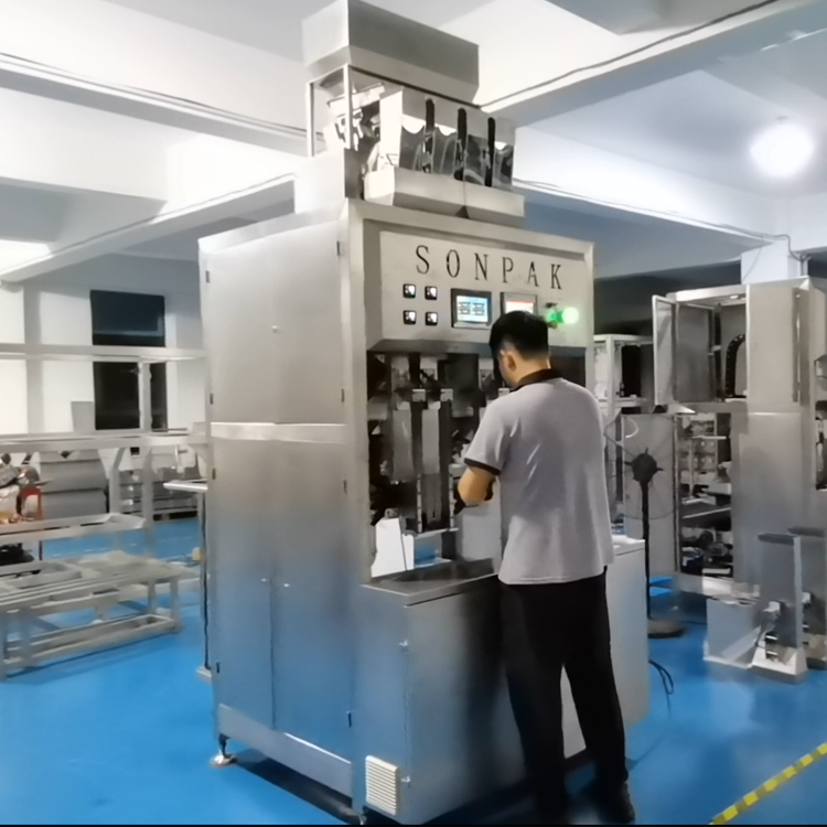 自動(dòng)給袋式真空包裝機：常見(jiàn)問(wèn)題及解決策略